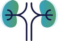 Nephrology