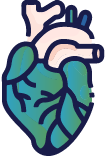 Cardiology